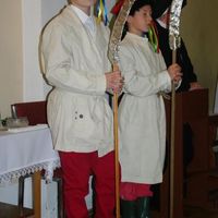 3 copy 1
